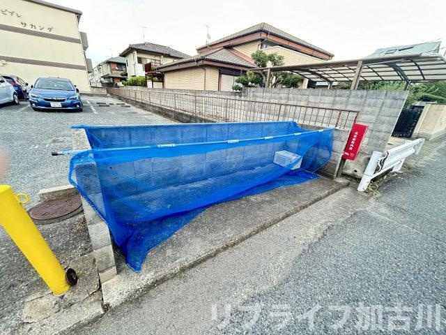ビブレサカンダのその他