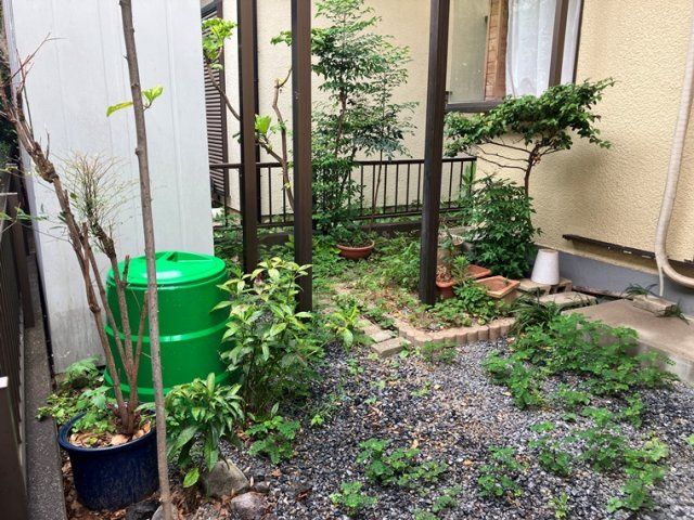 下安松戸建の庭