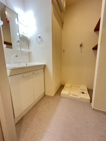 フリーダムⅠの洗面所