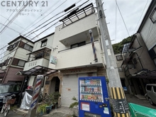 ビクトワールシェルの画像