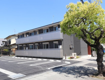 パラティウムの画像