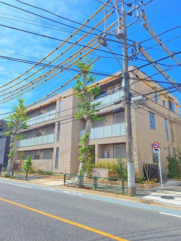 M　Condo