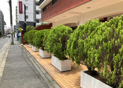 【庭】 | スターハイツ相模大野駅前 | 物件によっては、入居者が個人的に使用できる専用庭がついているものもあります。また、住宅の中にある土間の部分を庭と呼ぶこともあります。庭の用途は住む人によって変わり、それによってデザインもさまざまです。