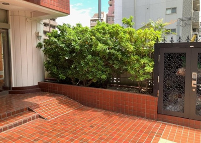 【中庭】 | スターハイツ相模大野駅前 | 中庭（パティオ）とは、一つの建築物の内部に設けられた、壁などで囲われている庭のことを指します。コの字型、ロの字型が主流ですが、L字型の中庭もあります。最近では、インテリア性の高さからも人気があります。