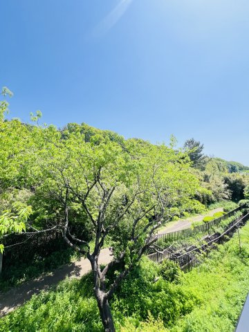  湘南Natural Life、はじまる。の展望