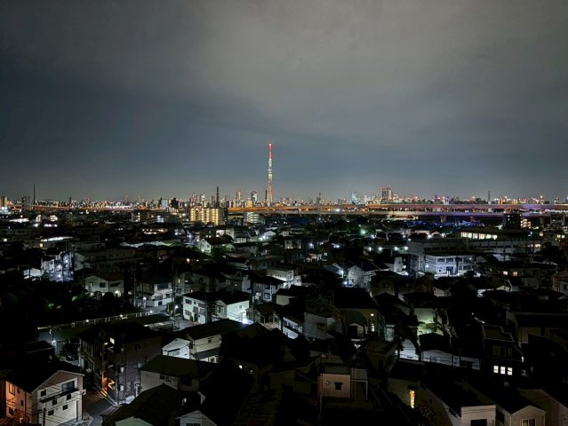 プレシス堀切菖蒲園の展望