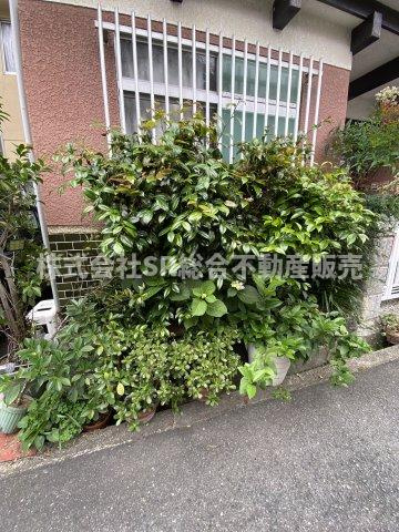 上四条町中古戸建のその他共用部分|玄関横には植木等を植えれるスペースもあるので植物を育てることが好きな方にはあると嬉しいですね♪