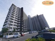 ネオハイツ姫路アメティ228　11階の画像