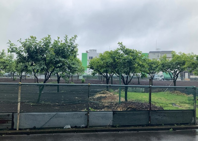 【展望】 | アーリアレジデンス南町田 | 眺望の良さを楽しめるダイニングキッチンで家族団らんの時間を過ごしてはいかがでしょうか。バルコニーから見える景色を家族で眺める時間は、時間が経つのを忘れてしまいそうですね。是非、現地を見に行きましょう！