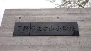 下野市下古山3丁目　213.72㎡　売地の土地図|下野市立古山小学校まで732m