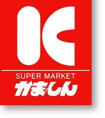 下野市下古山3丁目　213.72㎡　売地の土地図|かましん石橋店まで2276m