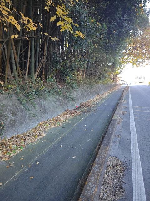 下野市細谷　1982.95㎡　売地の周辺