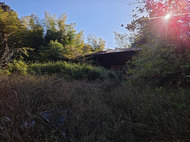 下野市細谷　1982.95㎡　売地の外観