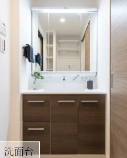 【独立洗面台】 | 【HP限定公開】ラヴィラ府中多摩川　7階