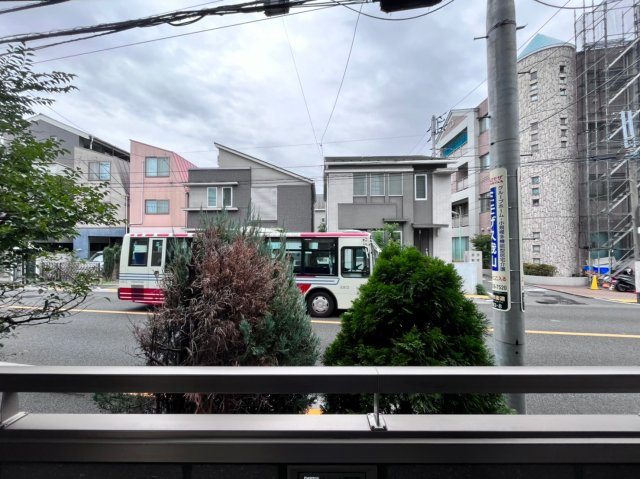 レッドパインの展望