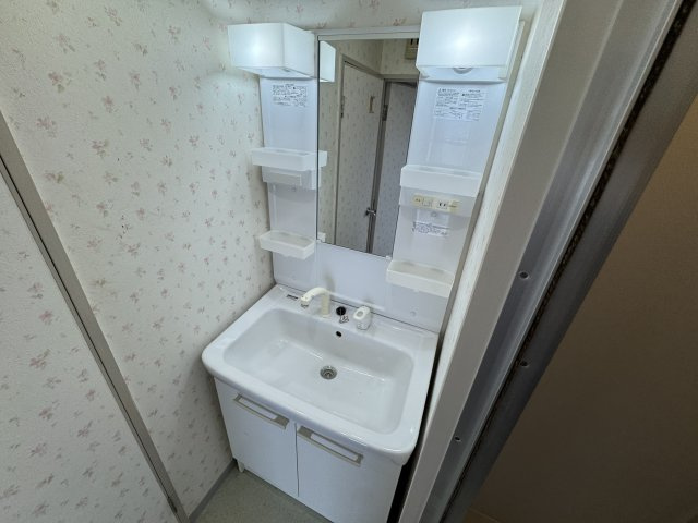 ミレ桜塚の独立洗面台