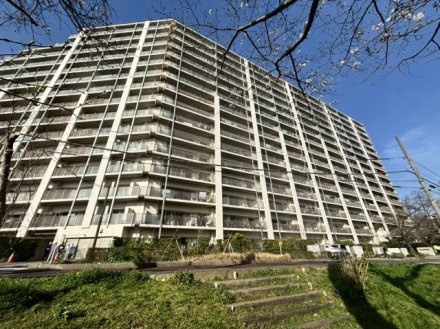 シティアＢ棟
