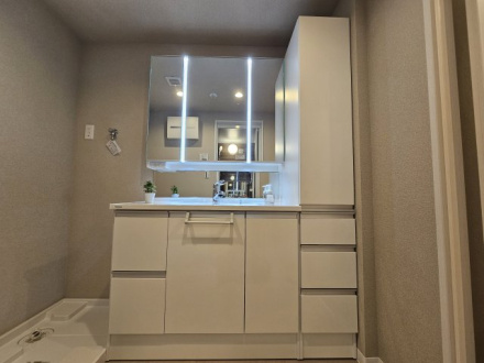 セントエルモ南柏の独立洗面台|朝の支度にも助かる、独立の洗髪洗面化粧台