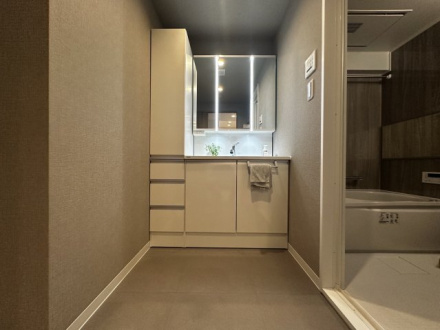 ライオンズマンション津田沼第２の独立洗面台|独立洗面台、朝の身支度には欠かせません