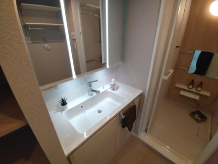 サンライトパストラル五番街Ｂ棟の独立洗面台|独立洗面台、朝の身支度には欠かせません