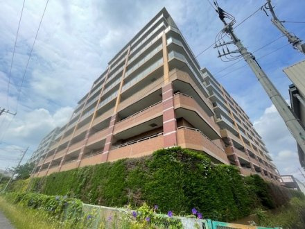 ロータリーパレス浦和西の外観|青空に映える外観です