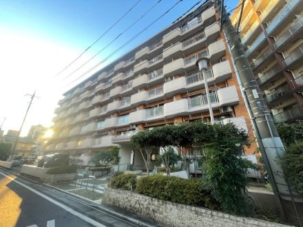 白幡第２コーポサンキョーの外観|外観もきれいです。埼京線「武蔵浦和」駅 徒歩10分