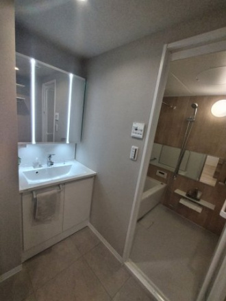 グリーンミユキ川口元郷の独立洗面台|独立洗面台です