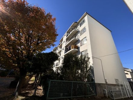 船橋ハイツ６号棟の外観|外観もきれいです