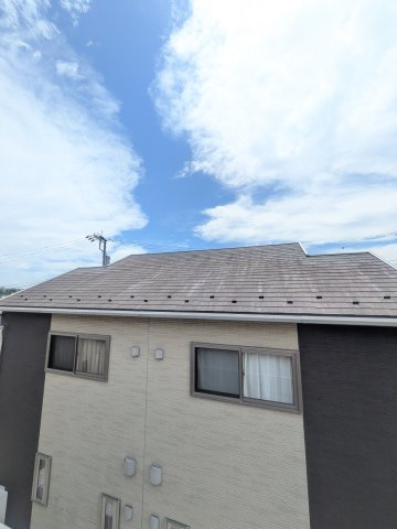 フォレストAの展望