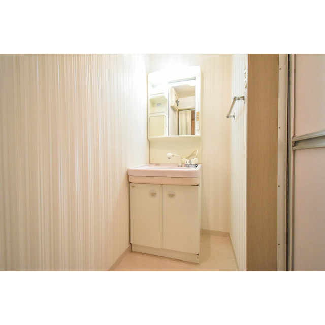 イングミー壱番館の洗面所