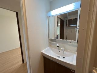 ＳｔｅｉｎｆｅｌｄⅡの洗面所|洗髪洗面化粧台（イメージ）