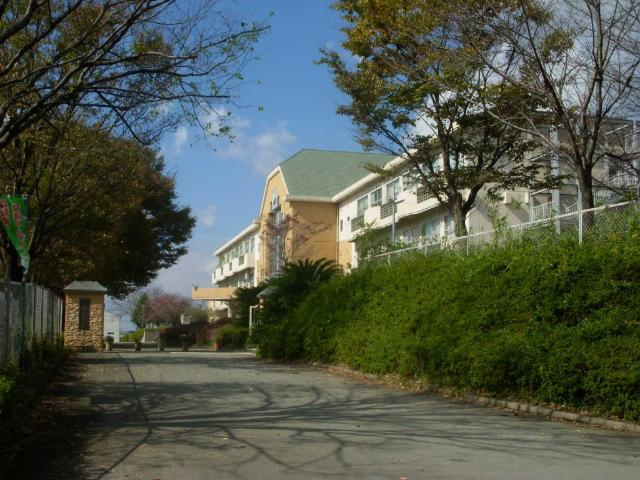 ＳｔｅｉｎｆｅｌｄⅡの周辺|大津町立室小学校まで657ｍ