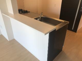 ＳｔｅｉｎｆｅｌｄⅡのキッチン|キッチン（イメージ）