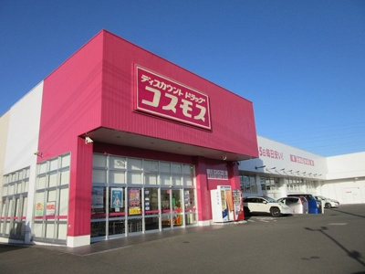 【周辺】 | ウェル　アイランドＫ－Ⅲ | コスモス人吉インター店まで1000m