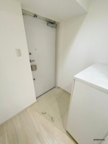 BRAVI南堀江　仲介手数料無料の玄関