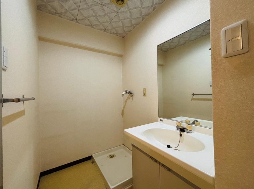 シャルマンコーポ新田辺の独立洗面台