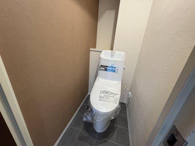 グランドムール膳所　天然木フルリノベーションのトイレ