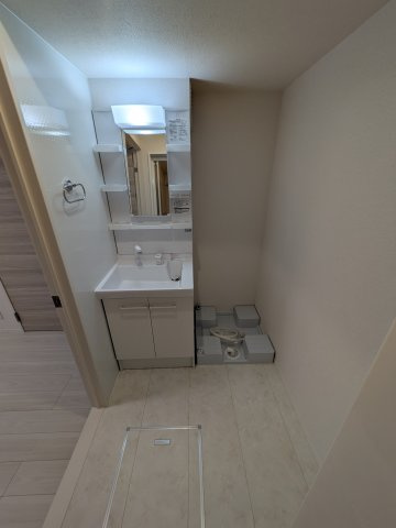 D Paina 宿河原七丁目の洗面所