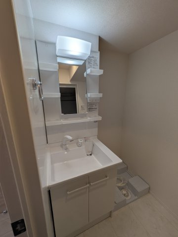 D Paina 宿河原七丁目の独立洗面台