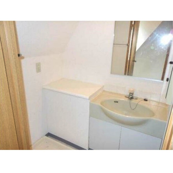 メゾン・ド・ヴィレ芝大門の独立洗面台