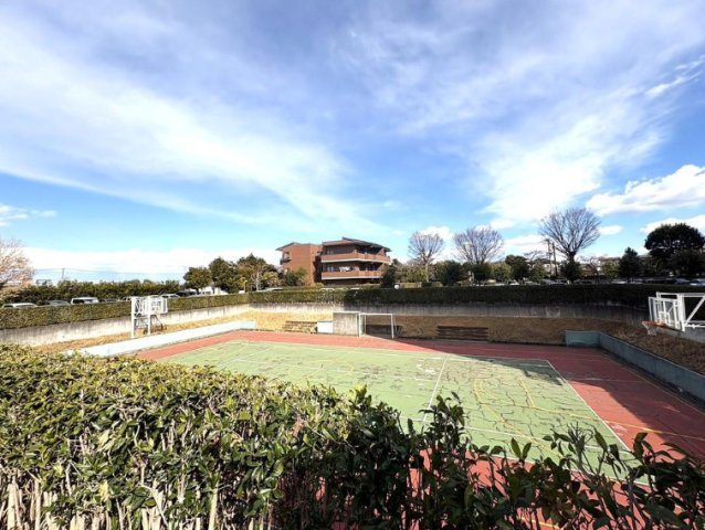 【展望】の画像