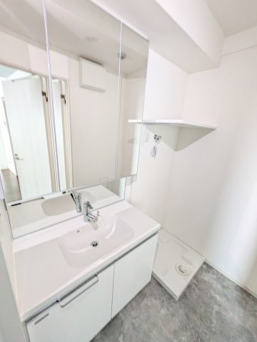 ルミアージュ登戸の洗面所