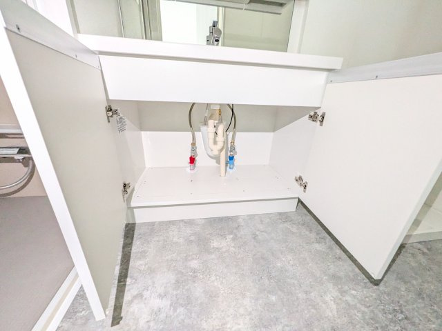 ルミアージュ登戸の洗面所