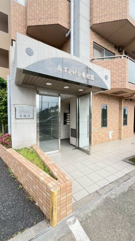 ルイシャトレ香櫨園のエントランス|エントランス