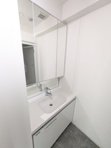 ルミアージュ登戸の洗面所