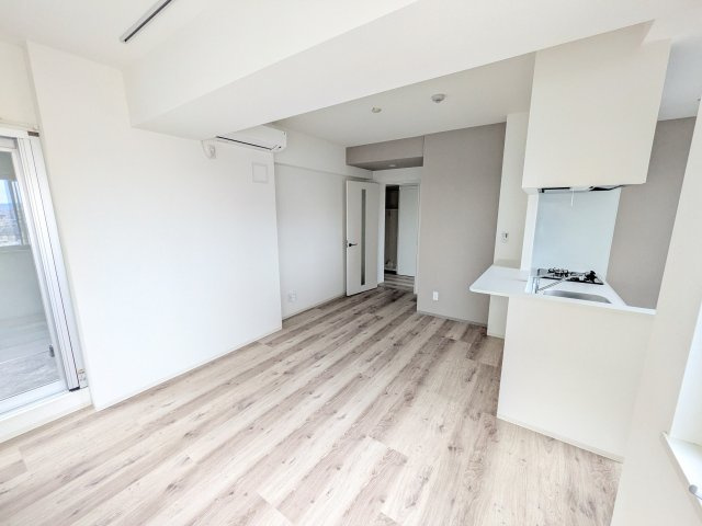 ルミアージュ登戸の居間・リビング