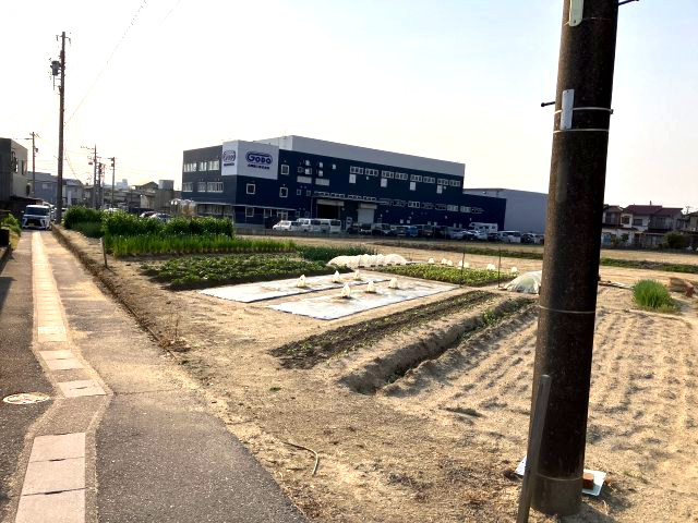 碧南市六軒町の前面道路含む現地写真