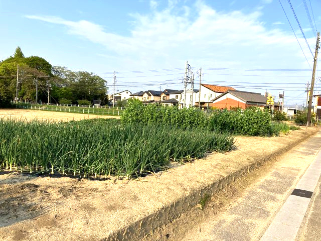 碧南市六軒町の前面道路含む現地写真