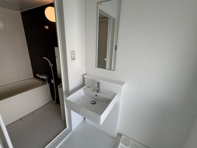 ラークスパ岡町の独立洗面台