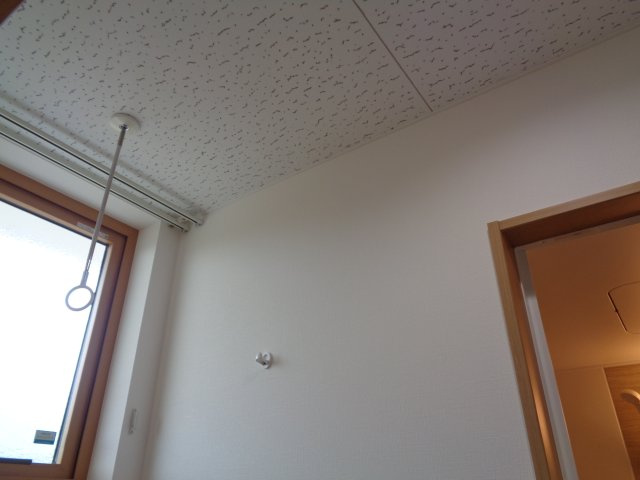 星の指輪のその他